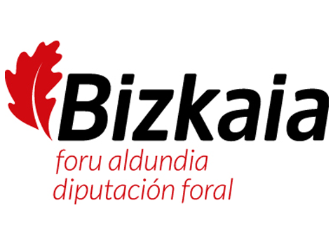 Diputacion Foral de Bizkaia